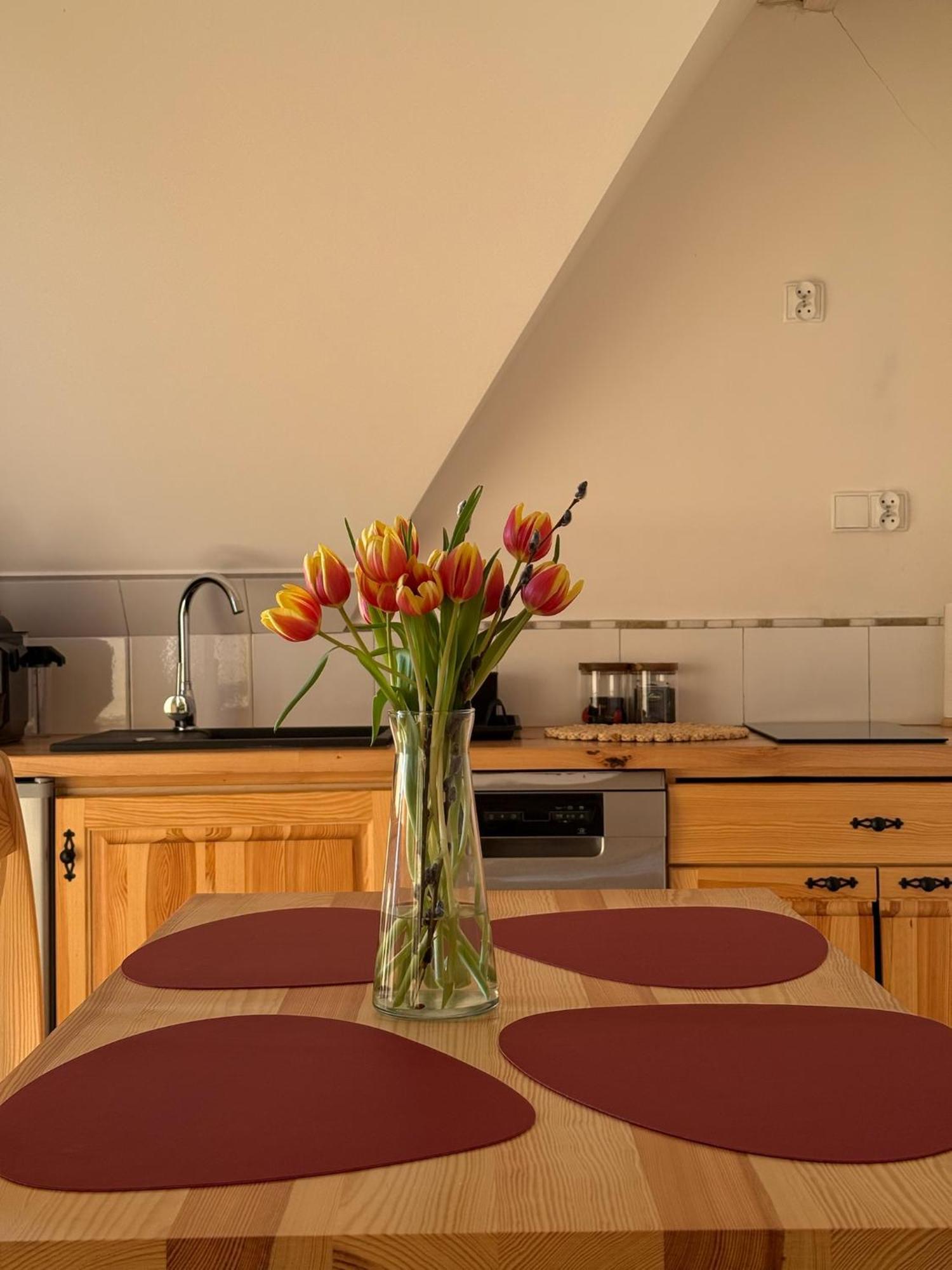 Widok Apartamenty Zakopane Kültér fotó